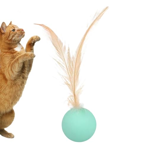 Katzenspielzeug mit Federball – Katzenball | Selbstunterhaltungsspielzeug | Interaktiver Ball | sensorische Stimulationskugel mit Feder für das Spielen im Freien im Freien Katzenspielzeug mit Federball – Katzenball | Selbstunterhaltungsspielzeug | Interaktiver Ball | sensorische Stimulationskugel mit Feder für das Spielen im Freien im Freien von Generic