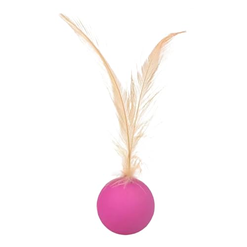 Katzenspielzeugbälle, rollendes Jagdspielzeug, interaktive sensorische Stimulation, Federball für drinnen und draußen, Katzenspiel, Jagd, Training, Langeweile Katzenspielzeugbälle, rollendes Jagdspielzeug, interaktive sensorische Stimulation, Federball für drinnen und draußen, Katzenspiel, Jagd, Training, Langeweile von Generic