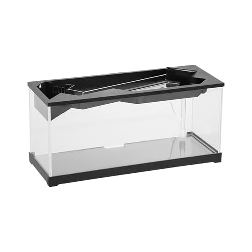 Kleines Aquarium, kleines Aquarium mit Filter | Schreibtisch aus Acryl mit Filter, Turtle Habitat Fish Schüssel mit -System für Zuhause, Studio, Tisch Kleines Aquarium, kleines Aquarium mit Filter | Schreibtisch aus Acryl mit Filter, Turtle Habitat Fish Schüssel mit -System für Zuhause, Studio, Tisch von Generic