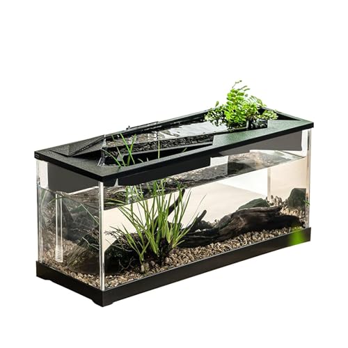 Kleines Aquarium - Fischtank mit Filter, Schreibtisch Turtle Hydroponic Pflanzaquarium | Fischtank -Starter -Kits mit Luftpumpe für Tischplatten, Wohnzimmer, Studio, Zuhause von Generic