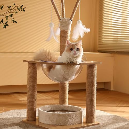 Kratzbaum für Hauskatzen mit abnehmbarem Kratzbrett, Katzenturm mit transparentem Acrylbett, Ballspielzeug zum Aufhängen und Katzen-Sisal-Kratzstämmen von Generic