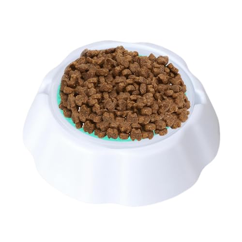 Kühlnapf für Haustiere, Fressnapf für Hunde und Katzen, Futternapf und Kondensator, Kühlzubehör für Haustiere, hält Futter und Wasser frisch, wenn Sie es Kühlnapf für Haustiere, Fressnapf für Hunde und Katzen, Futternapf und Kondensator, Kühlzubehör für Haustiere, hält Futter und Wasser frisch, wenn Sie es von Generic