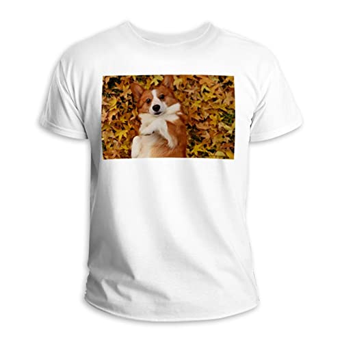 Kurzärmeliges T-Shirt, Rundhalsausschnitt, 100 % Baumwolle, für Haustiere, Corgi-Hund, spielt auf Herbstblättern, Mehrfarbig, S/Einheitsgröße von Generic