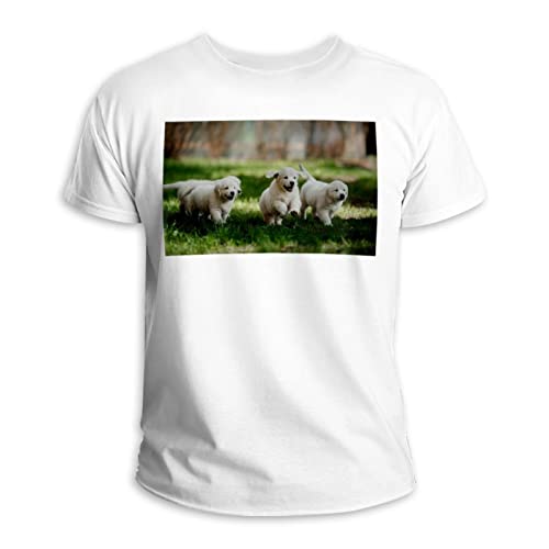 Kurzärmeliges T-Shirt mit Rundhalsausschnitt, 100 % Baumwolle, für Hunde und Haustiere, Mehrfarbig, Einheitsgröße/XXL von Generic