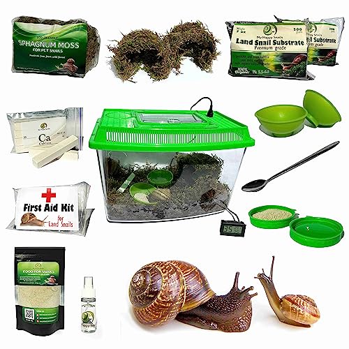 Land Snail Terrarium Kit + 50% Rabatt für lebende Schnecken | Haustierschnecken Vivarium Snailarium Komplettpaket für kleine Schnecke: Helix Aspersa, Otala Lactea (Milchschnecke) etc von Generic