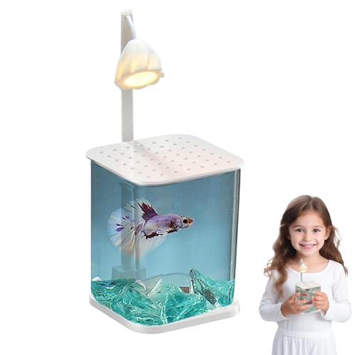 Landschaftlich Gestaltetes Glas-Aquarium – Kleines Kampffischbecken, Kleines Landschaftlich Gestaltetes Glas-Aquarium | Klare Desktop-Dekoration Für Kleine Aquarien, Elegante Heimdekoration, Aquarium von Generic