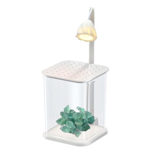 Landschaftlich Gestaltetes Glasaquarium, Klares Betta-Aquarium, Desktop-Betrachtungs-Garnelenbecken Mit Licht – Rechteckiges Aquariumbecken Mit LED-Licht Für Fische, Krebse von Generic