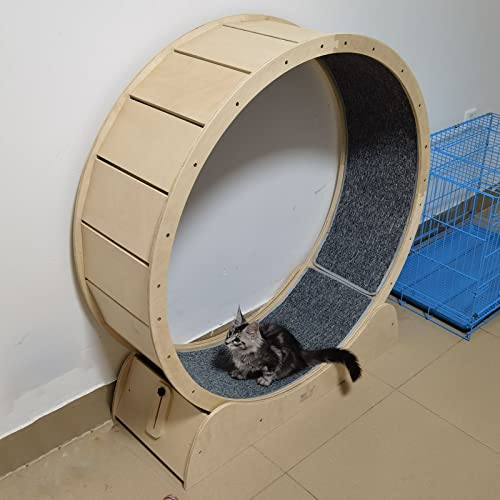 Laufrad für Katzen, für Kätzchen, Haustiere, Katzen-Übungsrad – 80/90/100 cm, Holz, für den Innenbereich, Laufband für Katzen, Laufspielzeug mit reibungslosem Lauf, Spielzeug für Katzenkratz von Generic