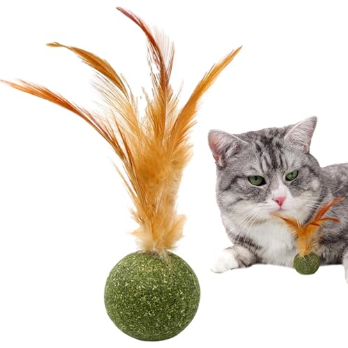 Magische Katzenbälle – Essbare Katzenminzebälle, Kätzchenfeder-Katzenminzeball | Interaktiver Ball Mit Essbaren Katzenminze-Federn Für Kätzchen, Natürlicher Lollipop-Katzen-Kick-Katzenminze-Ball Für D von Generic