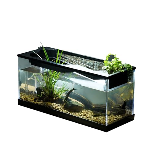Mini-Aquarium – Transparentes Acryl-Tischbecken, Scenery Drum-Anfängerset mit Belüfter | 1320 g kompakte Schüssel mit Filter und Sauerstoffzufuhr für, Reptilien-Dekoration für Zuhause, Büro Mini-Aquarium – Transparentes Acryl-Tischbecken, Scenery Drum-Anfängerset mit Belüfter | 1320 g kompakte Schüssel mit Filter und Sauerstoffzufuhr für, Reptilien-Dekoration für Zuhause, Büro von Generic