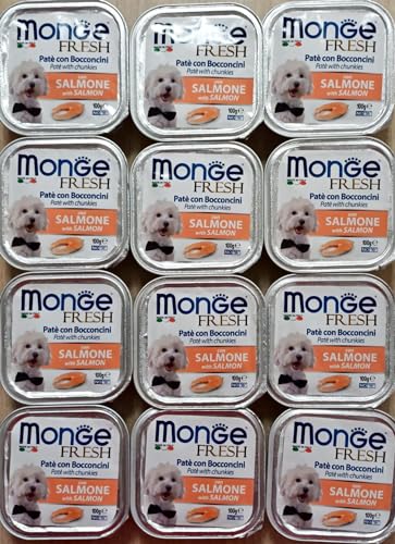 Monge Hundefutter Feuchtfutter, frisches Lachs, 12 Behälter à 100 g von Generic