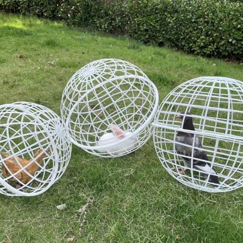 P-lastic Hühnerkäfig Bewegliche Kugelform Hühnerstall Huhn Hamster Ballkäfig Sicheres Gehnetz Leichter Gehege Ball für Bauernhöfe 3 Stück von Generic