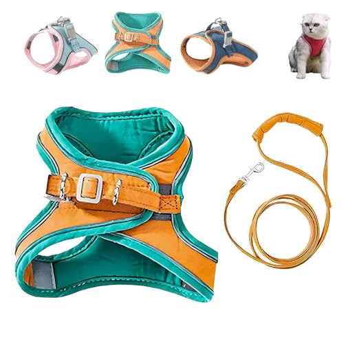 Pawfectly Safe Cat Harness and Leash Set, Pawfectly Harness, Breathable Adjustable Safe Easy Walk, Adjustable Reflective Step-In Design for Small Dogs and Cats (3XL,C) von Generic