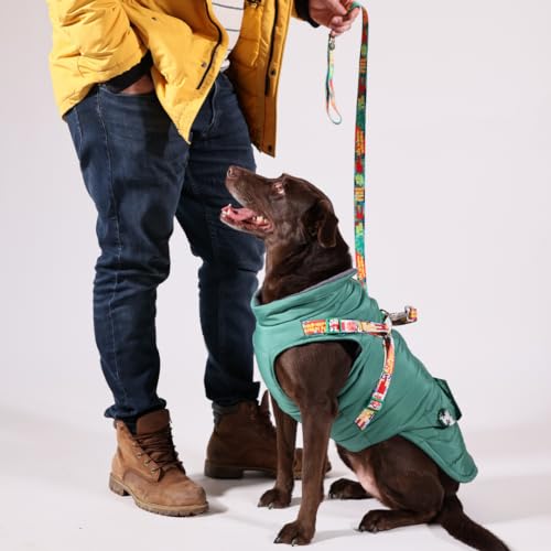 Generic Pawlook Hunde-Regenmantel mit Brustleine und Halsband, wiederverwendbarer, wasserdichter Haustiermantel für kleine Hunde, mittelgroße Hunde, große Hunde (Grün, L) von Generic