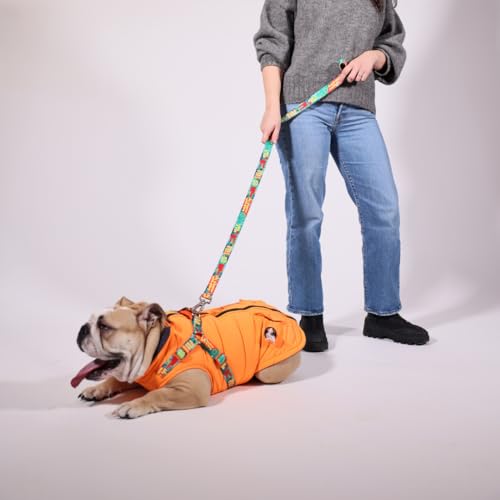 Generic Pawlook Hunde-Regenmantel mit Brustleine und Halsband, wiederverwendbarer, wasserdichter Haustiermantel für kleine Hunde, mittelgroße Hunde, große Hunde (Orange, M) von Generic