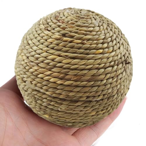 Pet Kauball Gras | Neuer Natürlicher Spielzeugball - Kaninchen-Kauquietscher Für Meerschweinchen, Chinchilla, Katzen, Hamster, Heimtierbedarf, Snacks, Geschenke von Generic