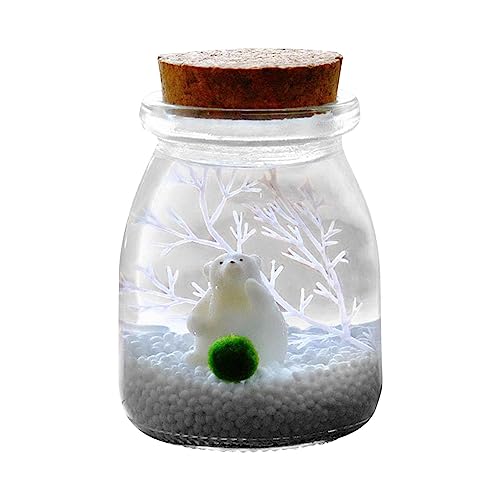 Pflanzgefäß aus Glas, Pflanzgefäß für Tischplatte, Glasvase für Tischdekoration, Tafelaufsätze, Terrarium, Miniaturen, Landschaftsornamente, Feengarten von Generic