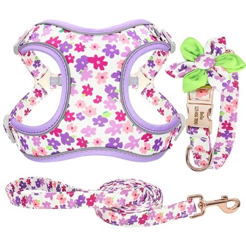 Puppy Neckwear Hundegeschirr 3Pcs/Lot Personalisierte Hundehalsband Geschirr Leine Set Hundehalsband Geschirr Für Mittlere Große Hunde/114 Lila/L von Generic