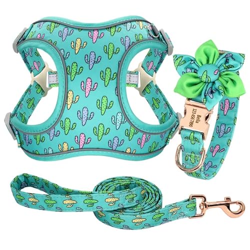 Puppy Neckwear Hundegeschirr 3Pcs/Lot Personalisierte Hundehalsband Geschirr Leine Set Hundehalsband Geschirr Für Mittlere Große Hunde/Kaktus/L von Generic