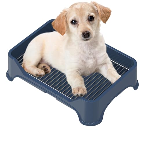 Puppy Töpfchen - Hund Töpfchentraining Mesh Hundetoilette, Anti-Stepping Pfütze Pad Tragbares Töpfchen mit für Welpen und kleinen Hund von Generic