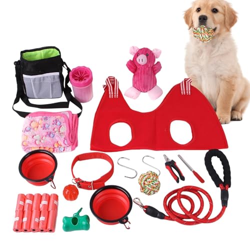 Quietschspielzeug für Welpen und kleine Hunde, Verschiedene Spielzeuge für Welpen und Hunde - Hundespielzeug multifunktional - Robustes Spielzeugpaket, sicher für das tägliche Lauftraining mit Hunden von Generic