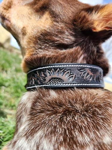 Ranch Hand Hundehalsband aus Leder, Antik-Sonnenblume, Größe L von Generic