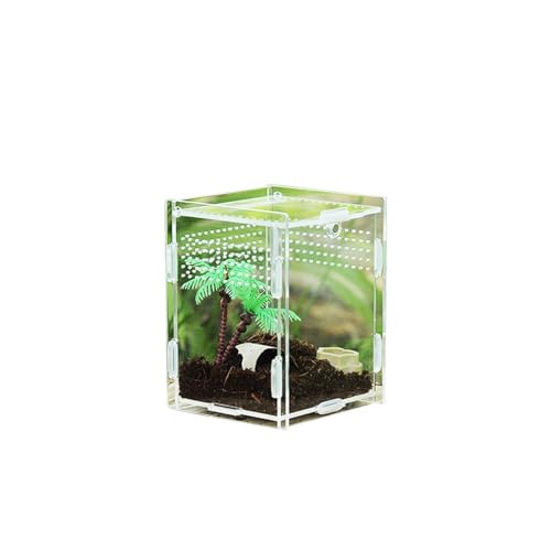 Reptilien-Terrarium – Zuchtbox für Klettertiere, Futterbox aus Acryl | Haustier-Kletterterrarium für Vogelspinne, Skorpion, Schleuder, Isopoden, von Generic