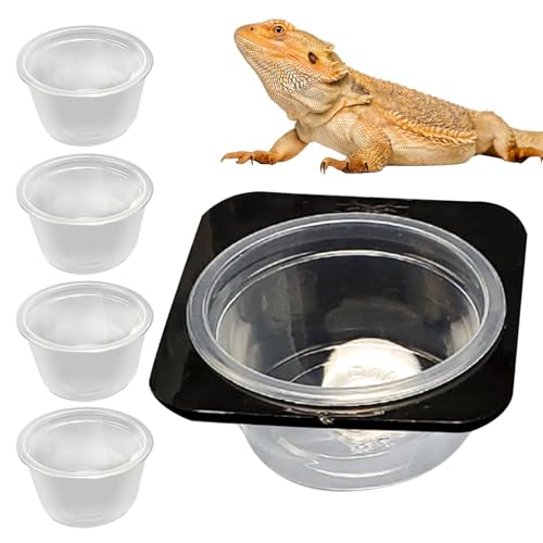 Reptilienfuttergericht, Wasserschale für Reptilienbehälter, Crested Water Bowl Reptile Food Feeder, Abnehmbare Fütterungsgericht mit Tassen Platz sparter Tankzubehör für Schildkröte & Box von Generic