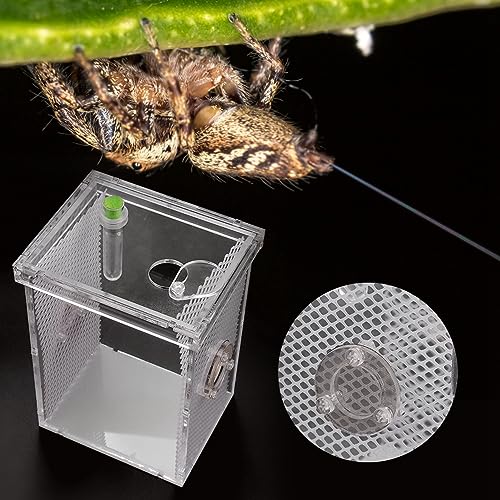 Reptiliengehege, Reptilien-Terrarien, Transparente Reptilien-Futterbox, Kunststoff-Aquarium-Reptilien-Zuchtbox für Vogelspinnen, Skorpione, Schlinge, Isopoden, Eidechsen (L) von Generic