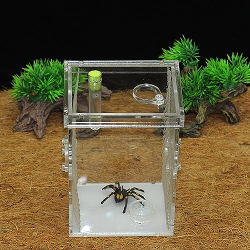 Reptiliengehege, Reptilien-Terrarien, Transparente Reptilien-Futterbox, Kunststoff-Aquarium-Reptilien-Zuchtbox für Vogelspinnen, Skorpione, Schlinge, Isopoden, Eidechsen (L) von Generic