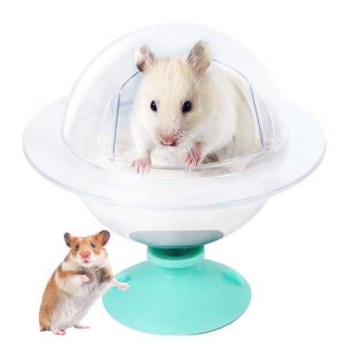 Sandbadbehälter für Hamster, Badewanne für Hamster, Duschwanne, Hamster, Chinchilla, Katzentoilette, Sandbehälter, Entspannungshaus für syrische Hamster, Hamster von Generic