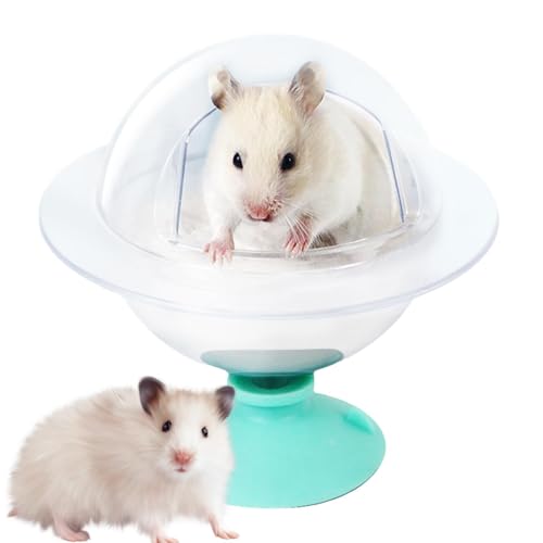 Sandbadbox für Hamster, Sandbadbehälter für Hamster, Duschraum, Hamster, Chinchilla, Katzentoilette, Sandbehälter zum Graben, Entspannungshaus für syrische Hamster von Generic