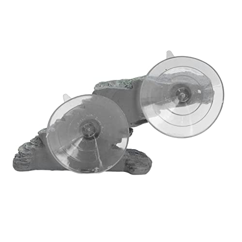 Schildkröten-Aalplattform, Reptilien-Aalplattform Schildkröten-Kletterplattform Schildkrötenplattform Reptilien-Aalstation mit Saugnapf für Schildkröten-Eidechse Schildkröten-Aalplattform, Reptilien-Aalplattform Schildkröten-Kletterplattform Schildkrötenplattform Reptilien-Aalstation mit Saugnapf für Schildkröten-Eidechse von Generic
