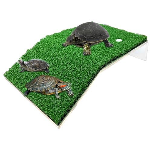 Schildkröten- -Aufstieg – Sonnenrampe | Mehrzweck-Dekoration für Schildkrötenbecken | Schildkrötenbecken Zubehör | Haustier-Kunstrasen für Zuhause Schildkröten- -Aufstieg – Sonnenrampe | Mehrzweck-Dekoration für Schildkrötenbecken | Schildkrötenbecken Zubehör | Haustier-Kunstrasen für Zuhause von Generic