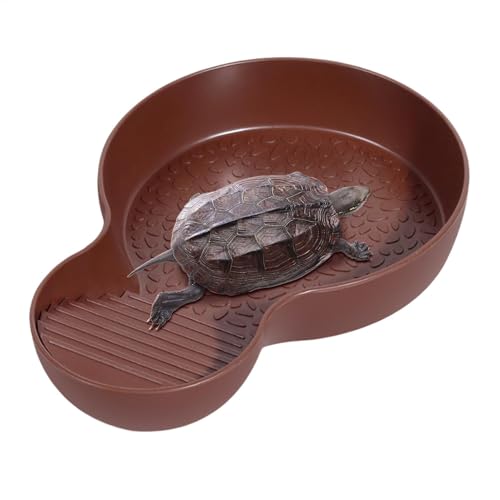 Schildkrötenfuttergericht, Reptilienpool - Schildkrötenbadepool mit Rampe - Schlangenwasserschale, Fütterungsschale für Schildkröten, Hornfrösche, Eidechsen, Schlangen, bärtige von Generic