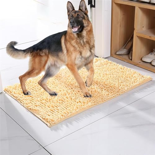 Schneier Cleany Matte Hunde, Ultra-Absorbant Schmutzfangmatte, Hundeteppich Sauberlaufmatte Super Absorbierende Bodenmatte für schlammige, nasse Pfoten und Schuhe Beige 80 * 120cm von Generic