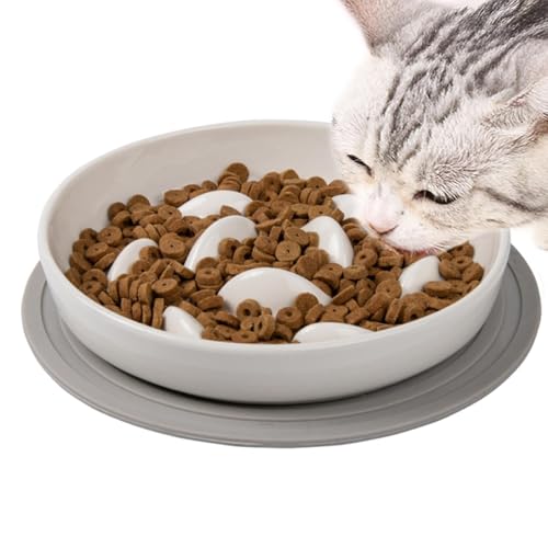 Slow Feeder-Napf für Katzen – Slow Feeder-Futternapf für Katzen, Geschirr für Katzen und kleine Hunde | Interaktiver Katzen-Puzzlenapf, Haustier-Slow-Feeder-Futternapf mit rutschfester Matte aus siche von Generic