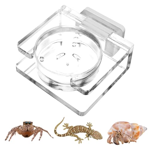 Spider Food Bowl - Magnetische Wasserschale, transparenter Acrylfuttermittel | Magnetische Reptilienwasserschale, Leckdosenfütterungsschale, Fressstation Tier, sicheres Gehäusezubehör zum Spri von Generic