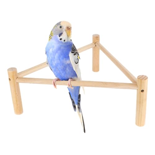 Spielzeug mit Barschständer, Holzbarschständer - Dreieck Barsch Spielzeug für Holzstange mit Papageienzweig - Stabiles Barschspielzeug, s Spielzeug mit Barschständer, Holzbarschständer - Dreieck Barsch Spielzeug für Holzstange mit Papageienzweig - Stabiles Barschspielzeug, s von Generic