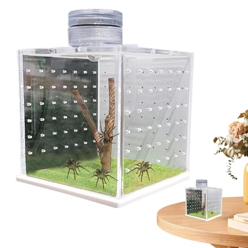 Spinnenzaun Springender Spinne Käfig | Transparenter Schildkrötentank | Kleines Terrarium Habitat Gottesanbeterin Zuchtbox mit leichtem Luftbefeuchter für kleine Reptilien von Generic