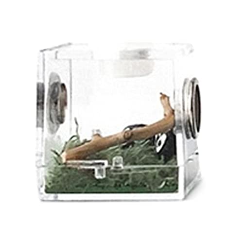 Springspinne-Box – Insektenzuchtbox, Reptilienzuchtgehege | Leichter Tier-Terrarium-Glasbehälter mit Belüftungslöchern, Glas-Tiere-Reptilientank für Spinnen-Eidechsen-Skorpion von Generic