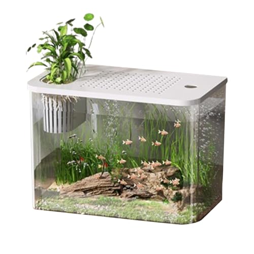 Starterset Für Kampffische – Komplettes Aquariumset, Süßwasseraquariumset | Aquariumset Für Den Schreibtisch, LED-Aquarium-Starterset, Starterset Für Zierfische, Acrylaquariumset, Einsteigeraquariumse von Generic