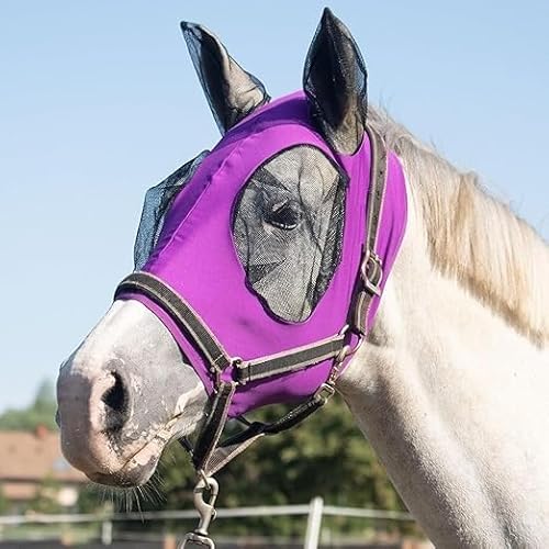 Super Comfort Dehnbare Fliegenmaske, großer Augenraum mit UV-Schutz, weich auf der Haut mit Atmungsaktivität (Amethyst, Pony) von Generic