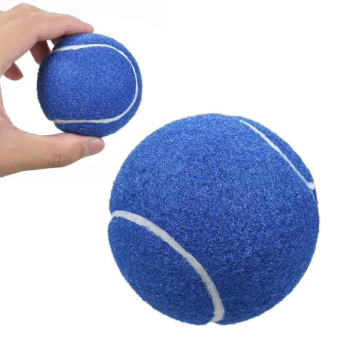 Tennisbälle, Tennis-Trainings-Tennisbälle, 12er-Pack, Fortgeschrittene Trainings-Tennisbälle, Übungsbälle, Hunde-Tennisbälle für Anfänger, Trainingsball (12er-Pack #BL) von Generic