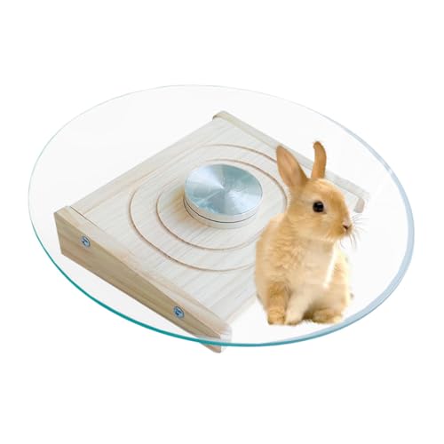 Trainingsrad für kleine Haustiere, Trainingsrad Hamster | Tiergesundheitsläufer - Häuser & Lebensräume Spielzeug, Käfigzubehör, Spinner für Chinchillas, Guinea von Generic