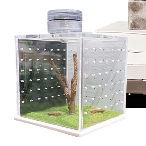 Transparente Echsenkäfig - Acryl -Reptiliengehäuse mit Leichter Luftbefeuchter, Tarantula Habitat Cage | Froschsprungspinnen -Haus Tank, kleine Haustier -Brutschachtel, Amphibien -Terrarium von Generic