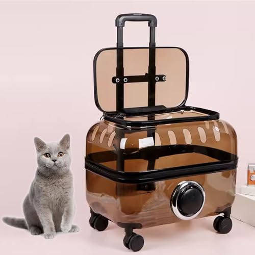 Transportbox Katze Groß 2 Katzen Transportbox Hund fürs Auto Entlüftung Perfekt für Reisen, Spaziergang, Ausflüge Zum Tierarz(Brown,S) von Generic