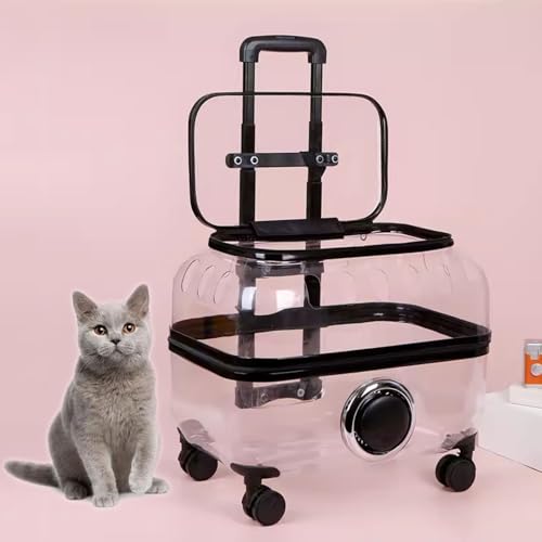 Transportbox Katze Groß 2 Katzen Transportbox Hund fürs Auto Entlüftung Perfekt für Reisen, Spaziergang, Ausflüge Zum Tierarz(Clear,L) von Generic