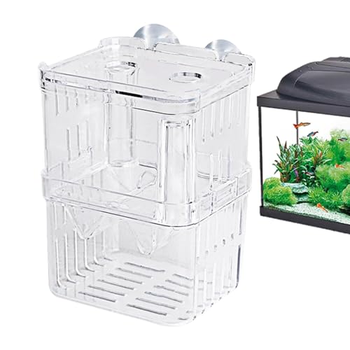 Trennwand für Fischzuchtbehälter, Fischzuchtnetz, Acryl, für Betta-Frittiere, Züchterbox, Guppy Fry Bruttank, Aquarium, Frittisolationsbox, Züchterbox für Babyfische von Generic