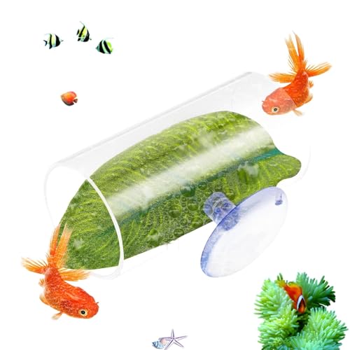 Tunnel 'Aquarium Betta – Tunnel 'Aquarium Betta Cave Betta Spiele – Schlauch Swim mit Pad, Verzierungen des ACRYL-Tarifs Tunnel 'Aquarium Betta – Tunnel 'Aquarium Betta Cave Betta Spiele – Schlauch Swim mit Pad, Verzierungen des ACRYL-Tarifs von Generic